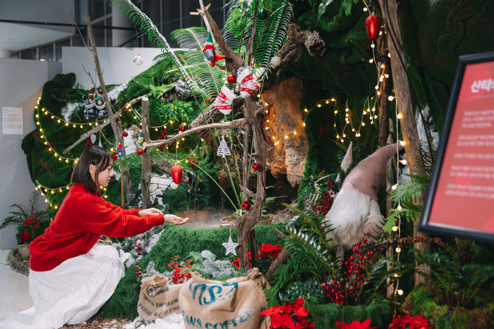 [세종=뉴시스] 국립세종수목원이 24일부터 31일까지 무료입장, 24일부터 26일까지는 야간개장을 진행한다.(사진=한국수목원정원관리원 제공) *재판매 및 DB 금지