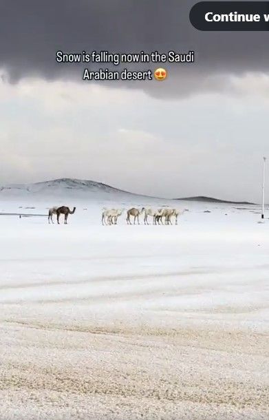 [서울=뉴시스]사우디아라비아 사막에 눈이 내린 모습. 저 멀리 낙타의 모습도 보인다. (사진출처: 엑스) 2025.12.23.