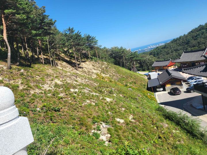 [대전=뉴시스] 입목벌채 규제가 완화돼 효과적으로 산불피해를 줄일 수 있게 됐다. 사진은 화암사 건축물 주변의 입목 벌채 모습.(사진=산림청 제공) *재판매 및 DB 금지