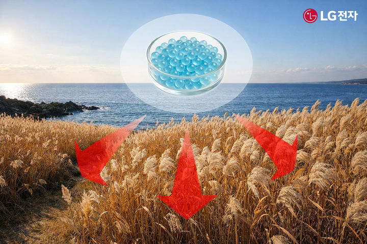 [서울=뉴시스]부산시 갈대밭에 마린 글라스를 적용하는 모습을 AI로 제작한 이미지. (사진 = LG전자) 2025.12.24. photo@newsis.com *재판매 및 DB 금지
