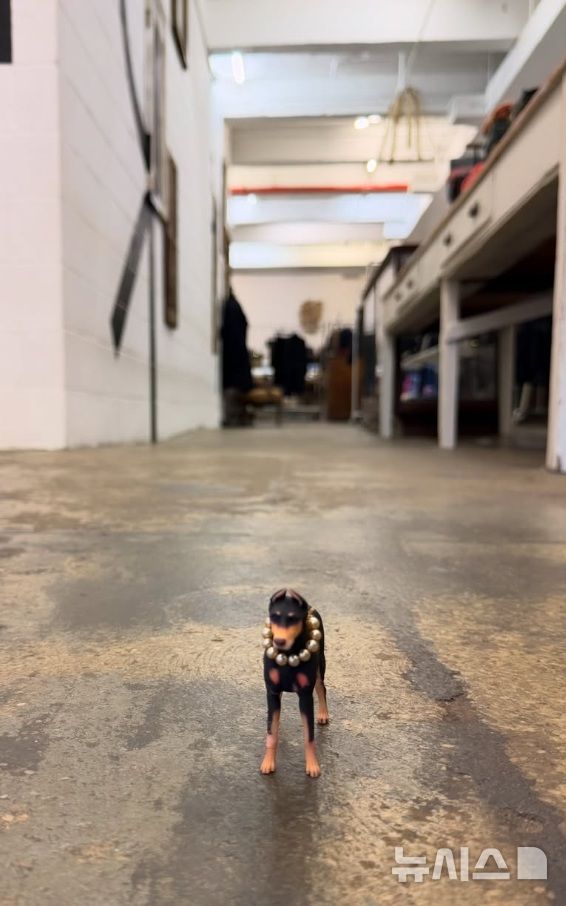 [서울=뉴시스] 배정남이 세상을 떠난 반려견에 대한 그리움이 담긴 근황을 전했다. 2025.12.23. (사진 = 배정남 인스타그램 캡처) photo@newsis.com