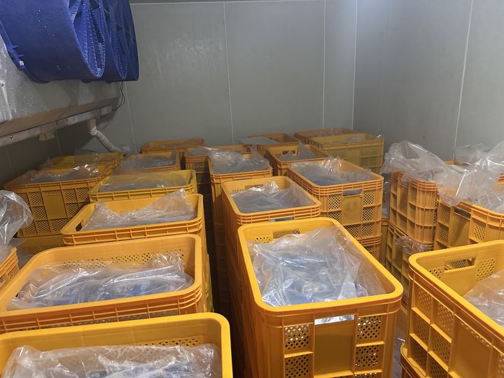 [여수=뉴시스] 국내산으로 둔갑시킨 중국산 재첩. (사진=여수해경 제공) 2025.12.24. photo@newsis.com *재판매 및 DB 금지