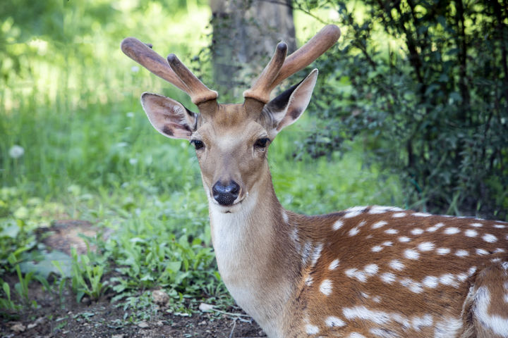 [서울=뉴시스]기사 이해를 돕기 위한 사진. (사진출처: 유토이미지)2025.12.24.