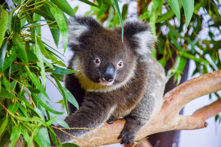 [서울=뉴시스]기사 이해를 돕기 위한 이미지.(사진출처: 유토이미지) 2025.12.24.