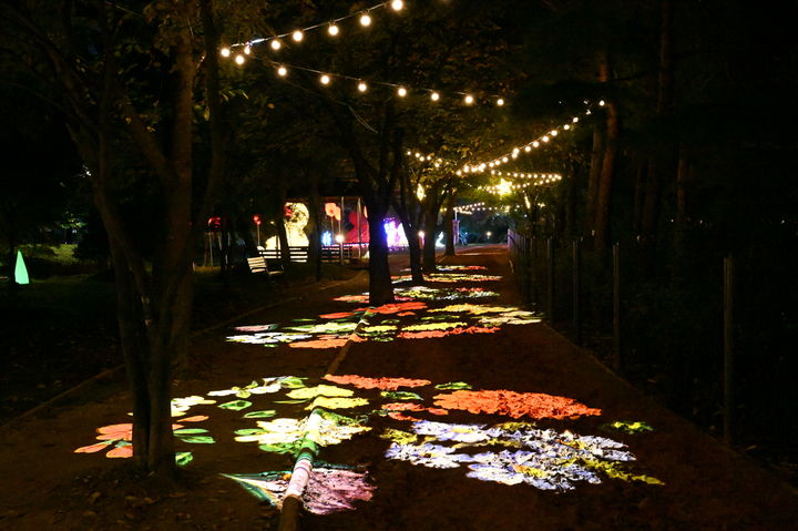 구리 빛 축제가 진행되고 있는 장자호수공원 모습. (사진=구리시 제공) photo@newsis.com *재판매 및 DB 금지