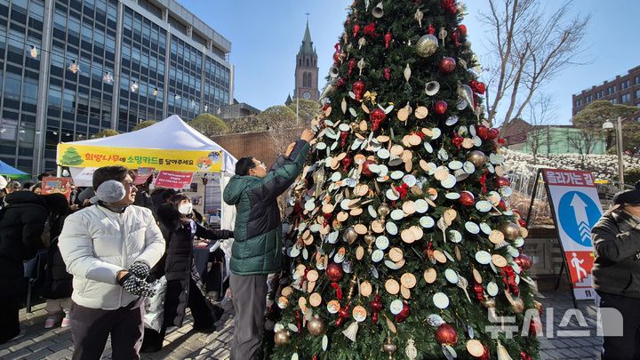 [서울=뉴시스]전상우 수습기자=25일 성탄절을 맞아 서울 중구 명동성당에 소망카드를 적어 매달 수 있는 '희망나무'가 설치됐다. 2025.12.25 swoo@newsis.com