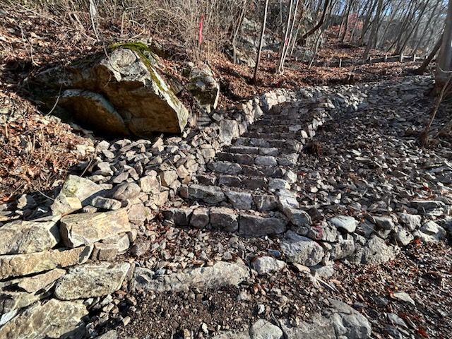 [사진=뉴시스] 금산산림문화타운 대화의 숲길. (사진= 금산군 제공) *재판매 및 DB 금지