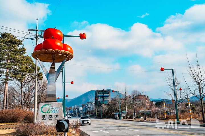 [경기광주=뉴시스]경기 광주시가 퇴촌면 광동리에 '토마토 디자인 가로등' 41개를 설치했다(사진=광주시 제공)2025.12.26.photo@newsis.com