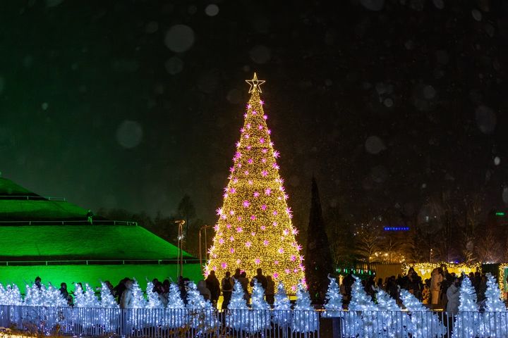 [순천=뉴시스] 순천만국가정원 대형트리와 화이트트리거리. (사진=순천시 제공) 2025.12.26. photo@newsis.com *재판매 및 DB 금지