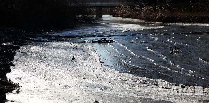 [서울=뉴시스] 김선웅 기자 = 서울 최저기온이 -12도를 기록하며 올해 첫 한파주의보가 발효된 26일 서울 서초구 반포동 한강변에 얼음이 얼어있다. 2025.12.26. mangusta@newsis.com