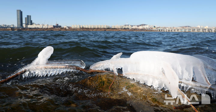 [서울=뉴시스] 김선웅 기자 = 서울 최저기온이 -12도를 기록하며 올해 첫 한파주의보가 발효된 26일 서울 서초구 반포동 한강변에 얼음이 얼어있다. 2025.12.26. mangusta@newsis.com