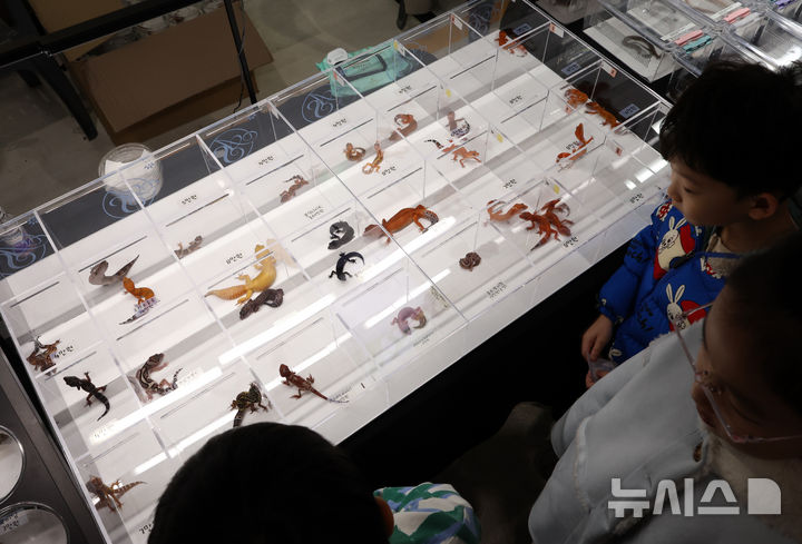 [서울=뉴시스] 이영환 기자 = 28일 서울 강남구 세텍(SETEC)에서 열린 아쿠아리움, 파충류 만나다 in 크리스마스 페스티벌에서 반려 파충류들이 진열되어 있다. 2025.12.28 20hwan@newsis.com