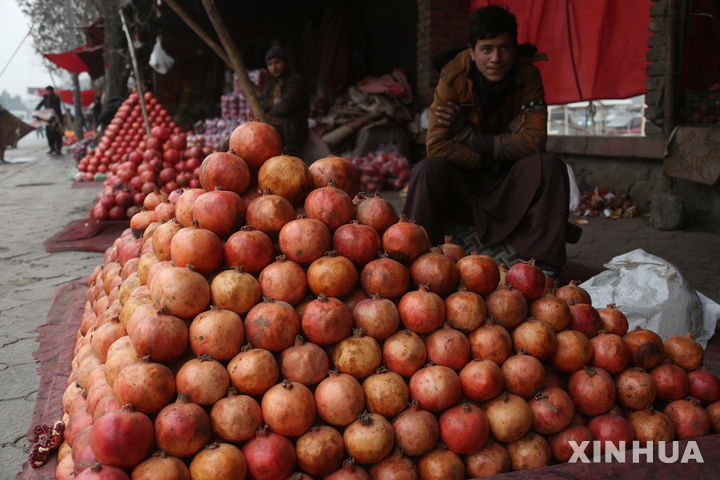 아프간, 2025년 상품교역 139억 달러…수출은 18억 달러