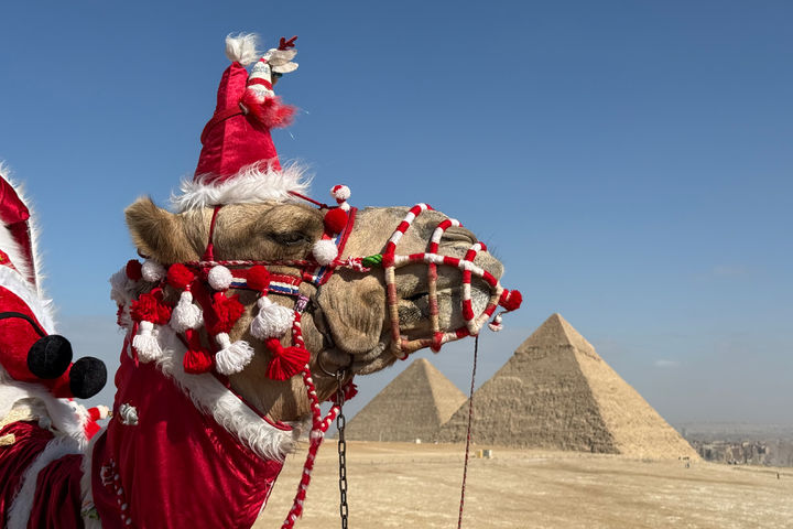 [기자=AP/뉴시스] 29일(현지 시간) 이집트 카이로 외곽 기자 피라미드 유적지에서 산타 장식을 한 낙타가 관광객을 기다리고 있다. 2025.12.30.