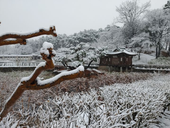 [강릉=뉴시스] 선고장 내 활례정에 눈이 쌓인 모습. (사진=뉴시스 DB). photo@newsis.com *재판매 및 DB 금지