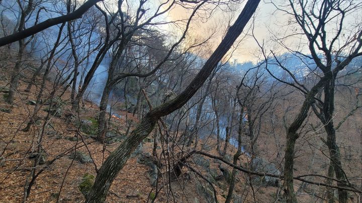 [강릉=뉴시스] 강릉시 연곡면 신왕저수지 인근 야산 산불 모습.(사진=강원도소방본부 제공)photo@newsis.com *재판매 및 DB 금지