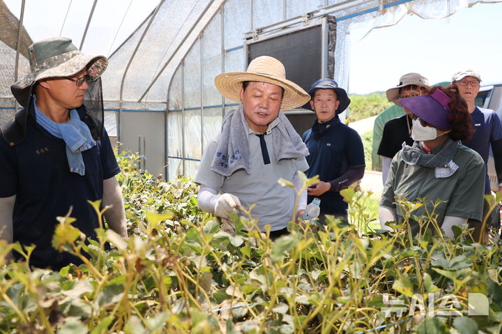 [산청=뉴시스]박완수 경남도지사가 지난 7월29일 산청군 신안면을 찾아 집중호우 피해가 발생한 비닐하우스 피해복구 작업을 하고 있다.(사진=경남도 제공) 2025.12.29. photo@newsis.com