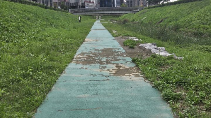 미끄러짐 사고가 빈번한 갈매천 산책로. (사진=구리시 제공) photo@newsis.com *재판매 및 DB 금지