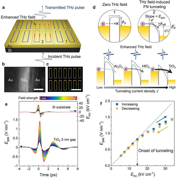 [울산=뉴시스] 구미현 기자 = 테라헤르츠 전기장에 의해 유도되는 양자 터널링 현상 (사진=UNIST 제공) photo@newsis.com *재판매 및 DB 금지