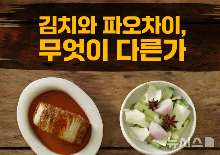 [서울=뉴시스]서경덕 성신여대 교수와 방송인 문세윤이 제작한 김치-차오파이 차이점 설명 영상. 서경덕 교수 제공