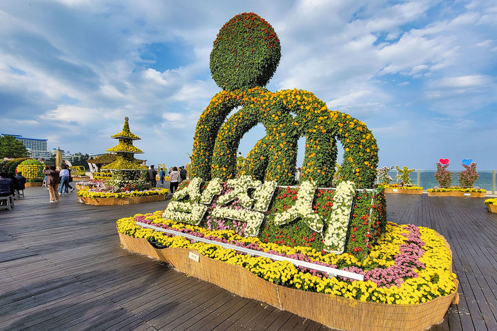 제10회 삼척국화전시회.(사진=삼척시 제공) *재판매 및 DB 금지