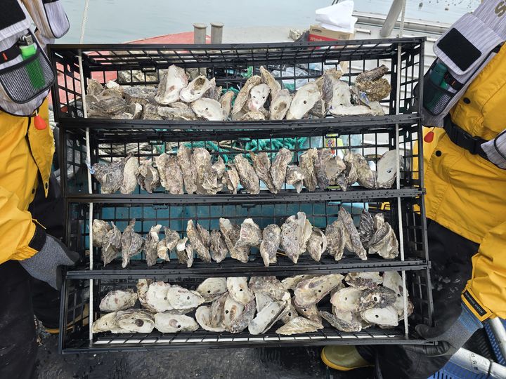 [부산=뉴시스] 부착생물 저감장치. (사진=국립수산과학원 제공) 2025.12.30. photo@newsis.com *재판매 및 DB 금지