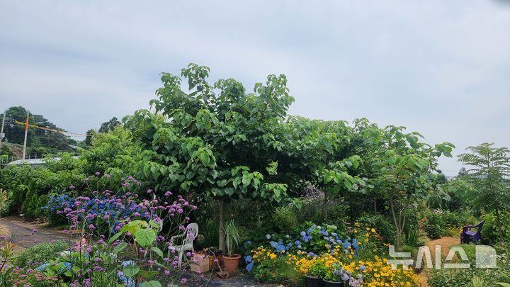 [제주=뉴시스] 제주도 '그린스팟, 혼디해요' 공모전에서 개인부문 최우수상을 받은 이나무정원(우리들의 퀘렌시아). (사진=제주도 제공) photo@newsis.com