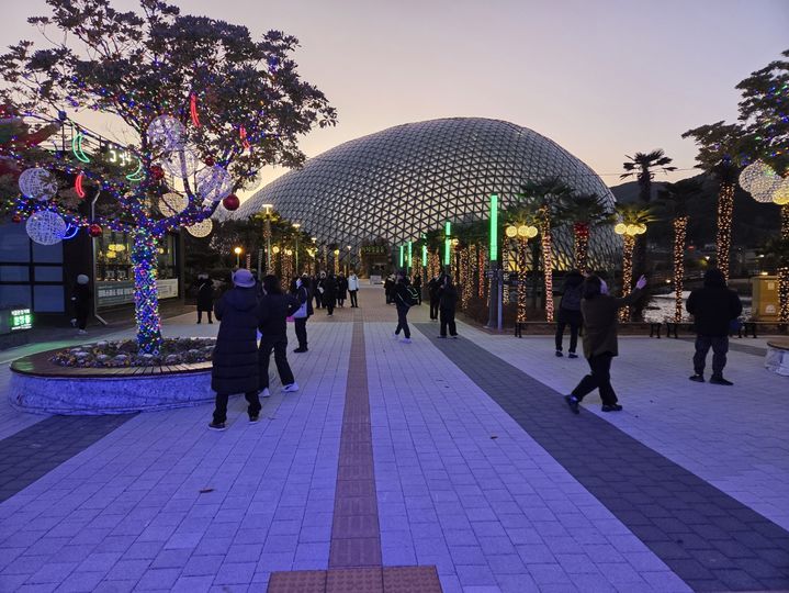 [거제=뉴시스] 신정철 기자= 거제시는 최근 거제식물원 정글돔 내·외부에 야간 경관조명 연출을 새롭게 도입하여 관람 만족도를 높이고, 사계절 야간 관광 콘텐츠 강화를 위한 경관개선 사업을 완료했다고 30일 밝혔다.사진은 거제식물원 애간경관 모습.(사진=거제시 제공).2025.12.30. photo@newsis.com *재판매 및 DB 금지