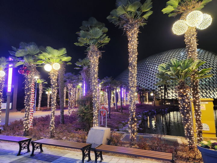 [거제=뉴시스] 신정철 기자= 거제시는 최근 거제식물원 정글돔 내·외부에 야간 경관조명 연출을 새롭게 도입하여 관람 만족도를 높이고, 사계절 야간 관광 콘텐츠 강화를 위한 경관개선 사업을 완료했다고 30일 밝혔다.사진은 거제식물원 정글돔 진입 구간 수목에 살치된 트리조명 모습.(사진=거제시 제공).2025.12.30. photo@newsis.com *재판매 및 DB 금지