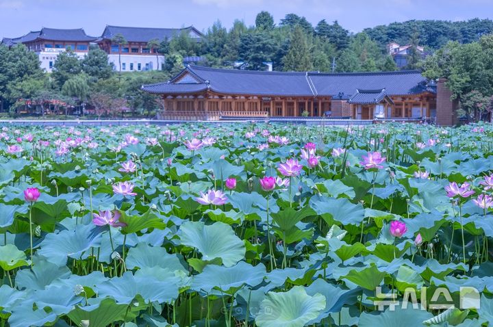 [전주=뉴시스]윤난슬 기자 = 전주시는 올해 열린광장과 창포원 조성을 완료하면서 2020년부터 추진해 온 '덕진공원 대표관광지 육성사업'의 주요 기반시설 정비를 마무리했다고 31일 밝혔다. (사진=전주시 제공) photo@newsis.com 
