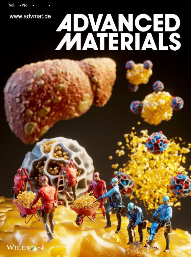 [뉴시스] 한국과학기술연구원(KIST)은 이현범·박진영 생체분자인식연구센터 선임연구원진이 이준석·전대원 한양대 교수진과 공동으로 간세포 내부에 쌓인 지방을 직접 분해·제거하는 치료제를 개발했다고 30일 밝혔다. 이 연구는 국제학술지 '어드밴스드 매터리얼즈(Advanced Materials)'에 지난 10월 4일 표지논문으로 게재됐다. (사진 = 카이스트) 2025.12.31. *재판매 및 DB 금지