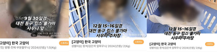 [뉴시스] (사진 = 케어 누리집 갈무리) 2025.12.31. *재판매 및 DB 금지