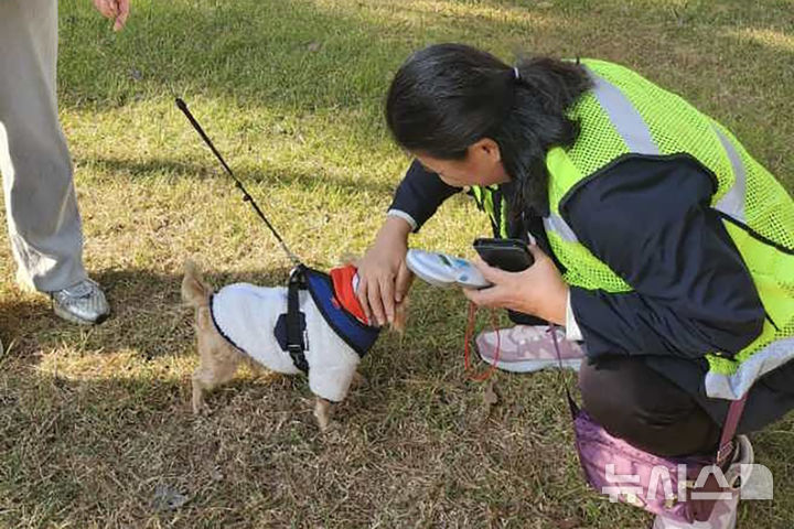 [광주=뉴시스] 광주시 '명예동물보호관' 활동. (사진=광주시청 제공). photo@newsis.com *재판매 및 DB 금지