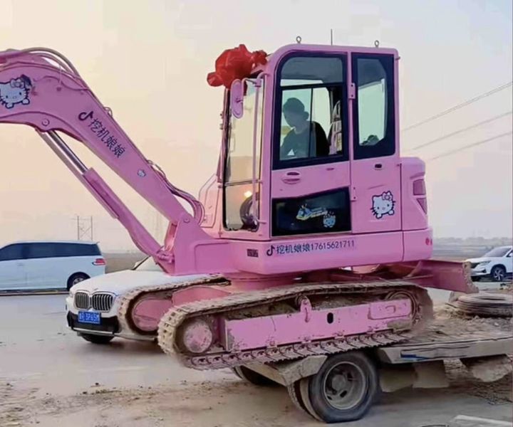 [서울=뉴시스]분홍색 굴착기를 몰고 있는 장씨. (사진출처: 더우인) 2026.01.01.