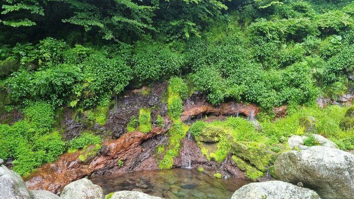 [서울=뉴시스] 김윤영 수습 기자 = '화산암층과 용천수' (사진=국가유산청 제공) 2026.1.2 youn@newsis.com *재판매 및 DB 금지 *재판매 및 DB 금지