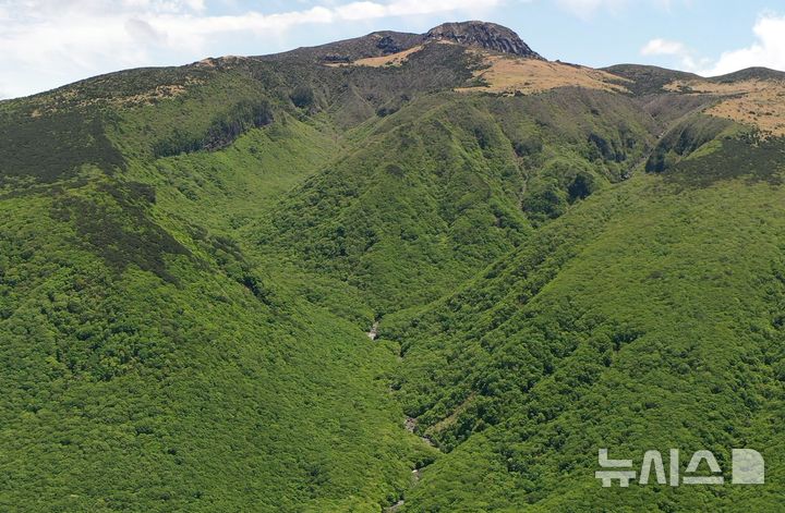 [제주=뉴시스] 한라산 어리목계곡. (사진=뉴시스 DB). photo@newsis.com 