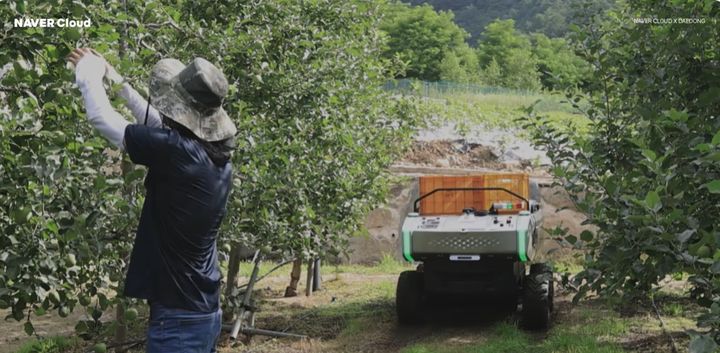 네이버클라우드와 대동의 농업 AI 에이전트 협력 사례 (사진=네이버클라우드 제공) *재판매 및 DB 금지