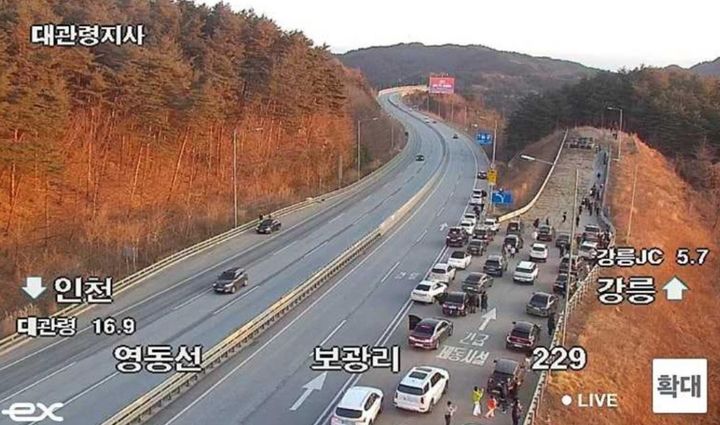 차량 수십 대 주정차…긴급제동시설서 '해맞이' 논란