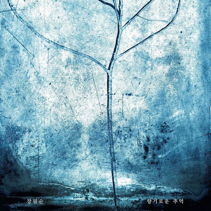 [서울=뉴시스] 장필순 디지털 싱글 '향기로운 추억' 커버. (사진 = 도이키 뮤직 제공) 2026.01.02. photo@newsis. *재판매 및 DB 금지