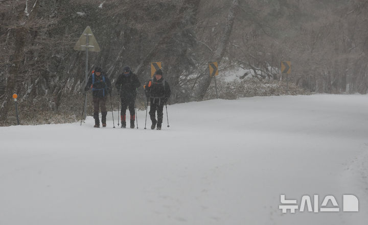 제주, 늦은 오후까지 가끔 비…낮 최고 5~8도