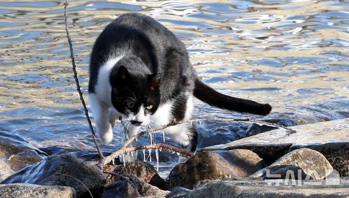 출근길 영하 10도 안팎…강추위 이어져[다음주 날씨]