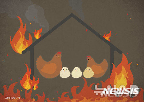 [포항=뉴시스] 경북 예천 양계장에서 전기 누전으로 화재. 2026.01.03. photo@newsis.com 