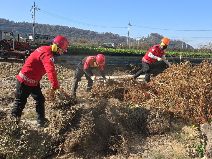 [양산=뉴시스] 양산국유림관리소 직원들이 산불 위험 요인을 사전에 제거하고 있다. (사진=양산국유림관리소 제공) 2026.01.03. photo@newsis.com *재판매 및 DB 금지