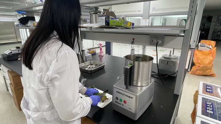 충북도보건환경연구원의 유통 농산물 잔류농약 안전성 검사 모습. (사진=충북도보건환경연구원 제공) *재판매 및 DB 금지