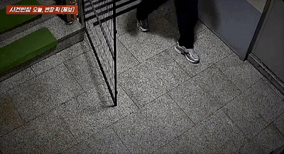 커튼 안에서 '노상 방뇨'…강아지 유치원 건물서 '황당' 사건