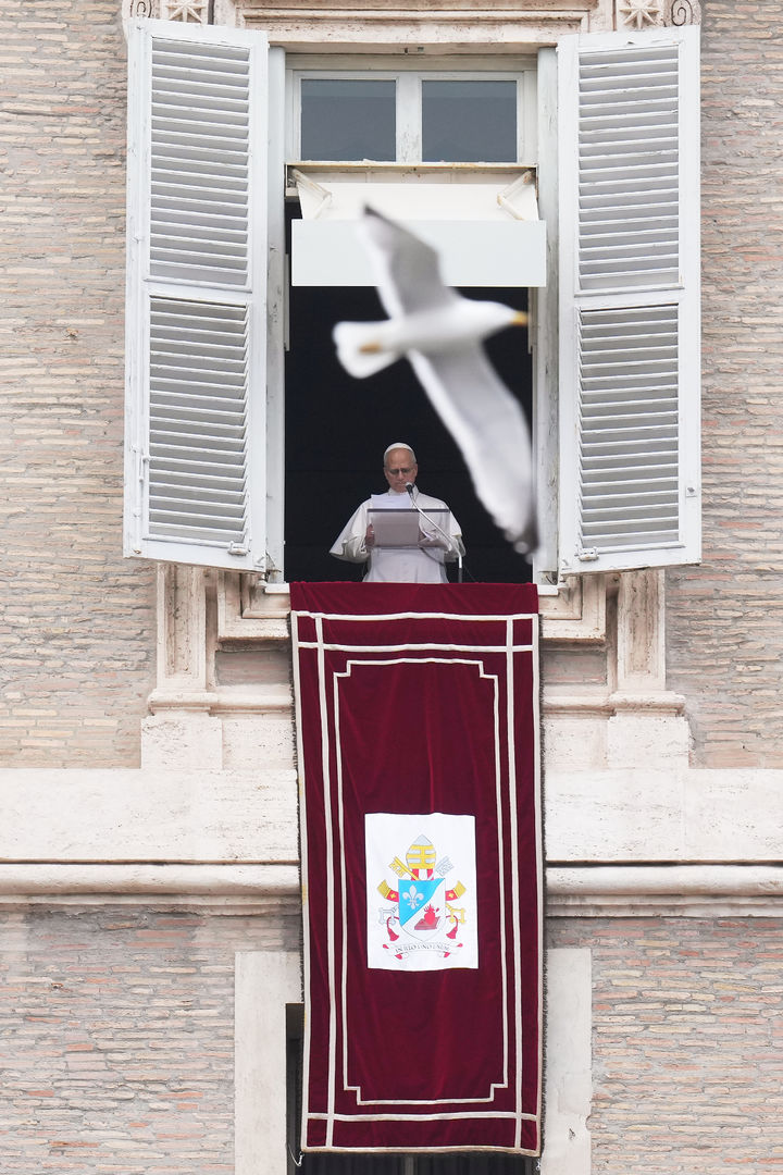 [바티칸=AP/뉴시스] 레오 14세 교황이 4일(현지 시간) 바티칸에서 주일 삼종기도를 하는 동안 갈매기가 교황이 서 있는 발코니 앞을 날아가고 있다. 2026.01.04.