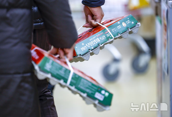 ASF에 AI에 구제역까지 삼중고…'밥상 물가 공포' 현실로