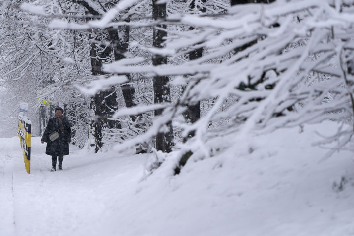 [베오그라드=AP/뉴시스] 4일(현지 시간) 세르비아 베오그라드에서 한 여성이 폭설이 내린 거리를 걷고 있다. 2026.01.07.