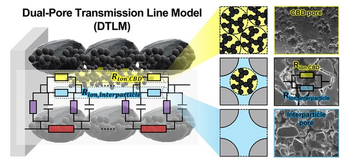 [울산=뉴시스] 구미현 기자 = 연구진이 제시한 이중 공극 전송선 모델. 전극 내 기공을 리튬 이온 이동을 방해하는 기공과 리튬 이온 이동이 일어나는 기공으로 분류해 분석했다. (사진=UNIST 제공) 2026.01.05. photo@newsis.com *재판매 및 DB 금지