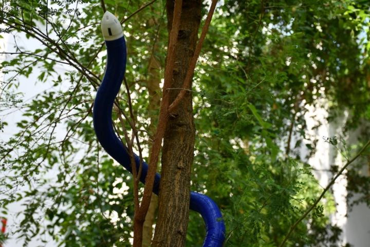 붕괴 건물 틈 스며든다…식물처럼 '자라며 이동'하는 탐사 로봇